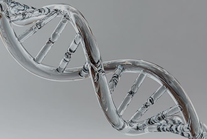 生物学的年齢検査