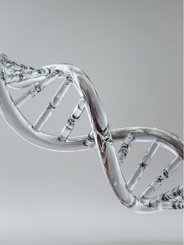 生物学的年齢検査