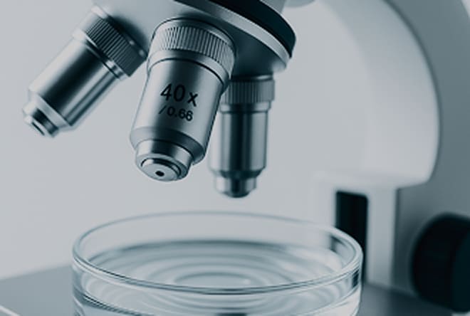 幹細胞培養上清液