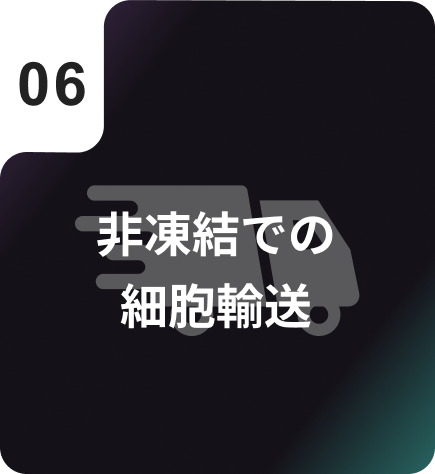 非凍結での細胞輸送