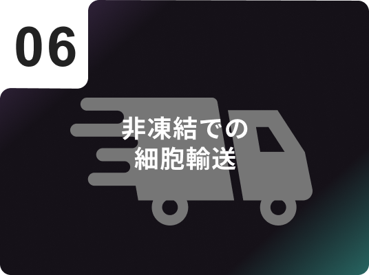 非凍結での細胞輸送
