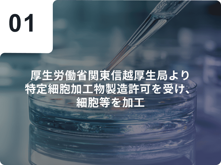 厚生労働省関東信越厚生局より特定細胞加工物製造許可を受け、細胞等を加工