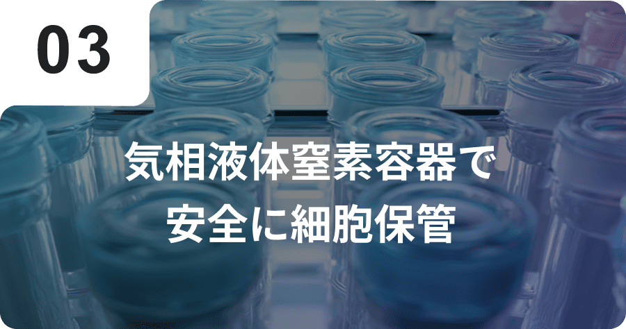 気相液体窒素容器で安全に細胞保管
