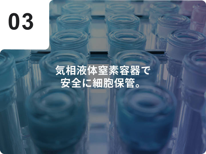 気相液体窒素容器で安全に細胞保管