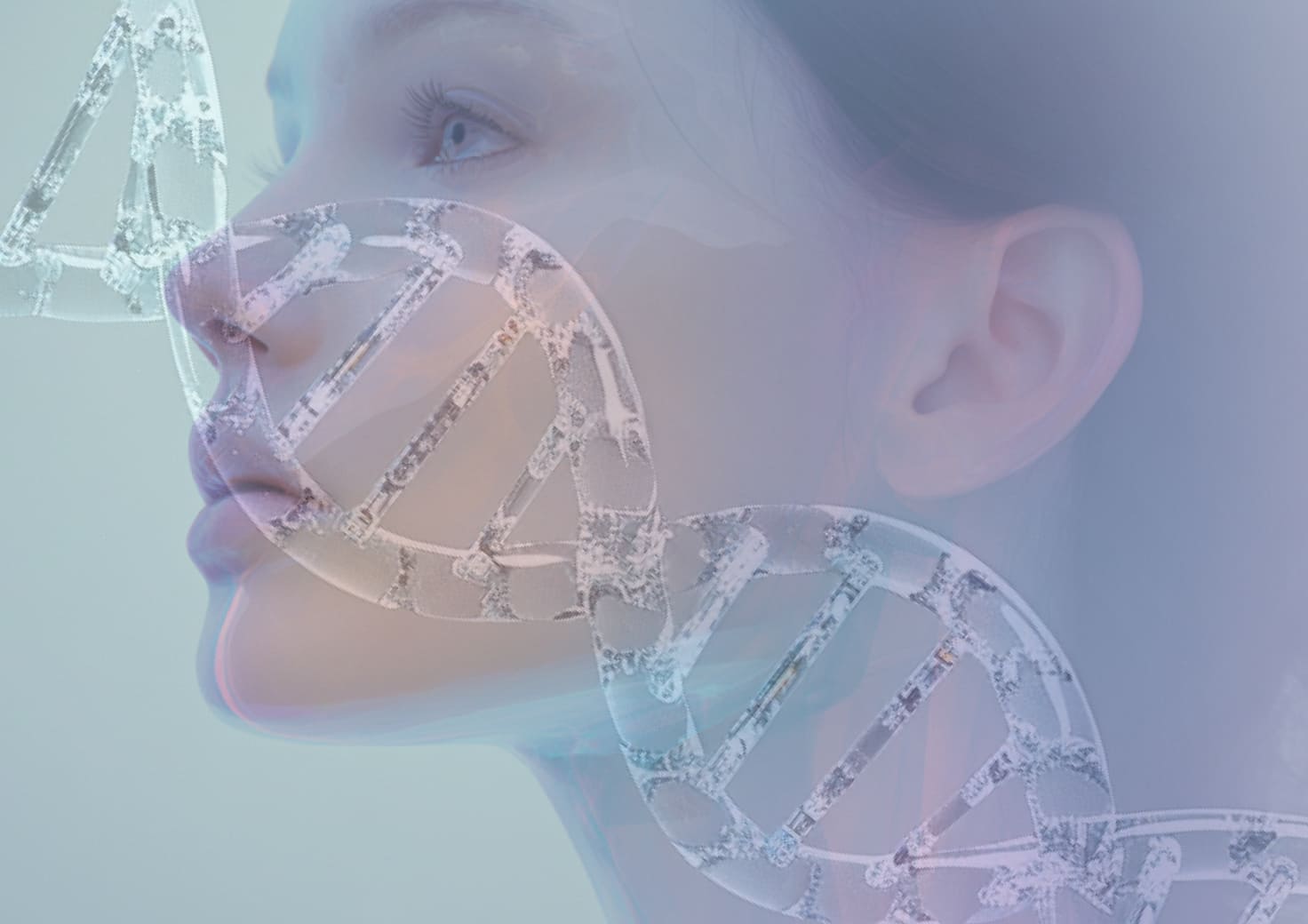 生物学的年齢検査