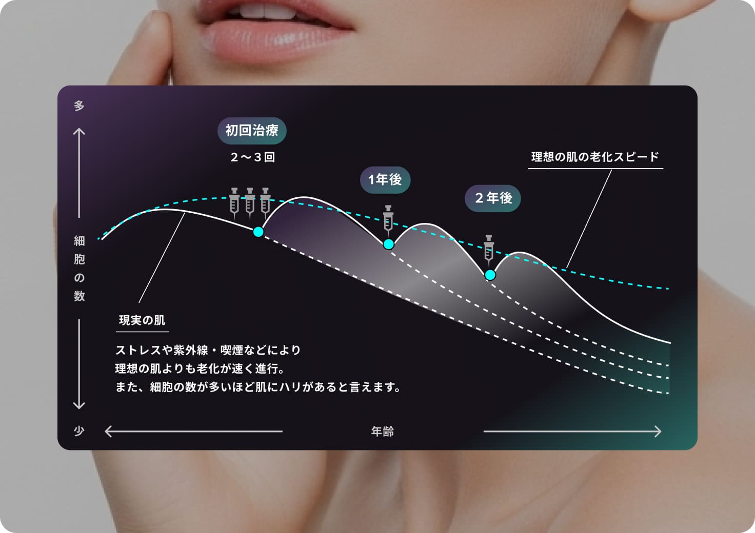 真皮線維芽細胞療法