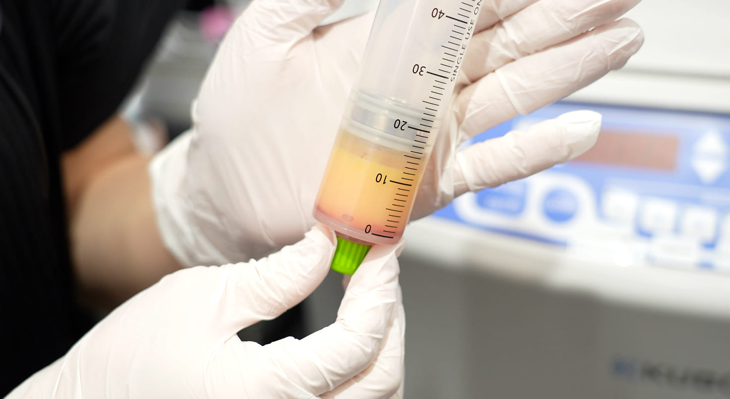 成分抽出・作成