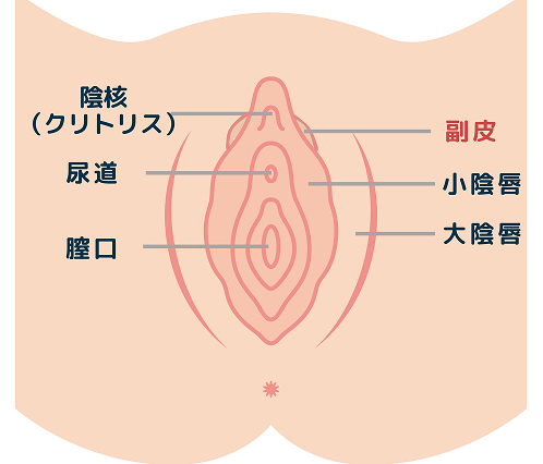 副皮除去の施術イメージ