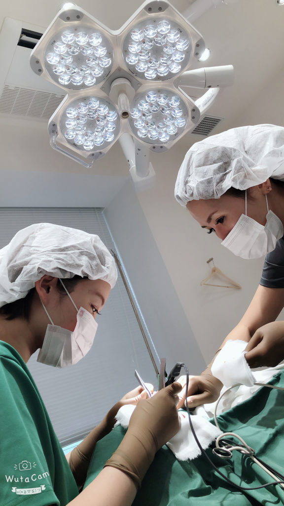 朝から大忙し！