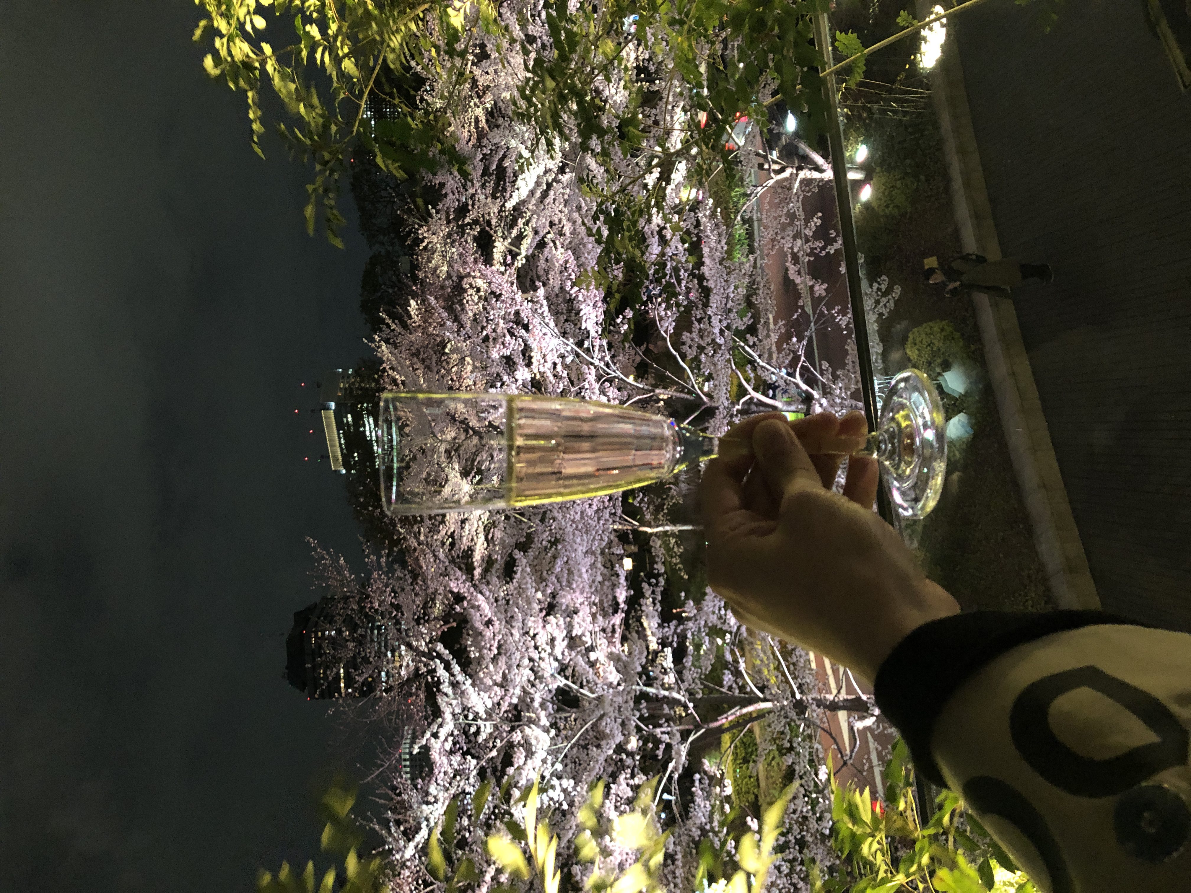 BIANCAのお花見🌸