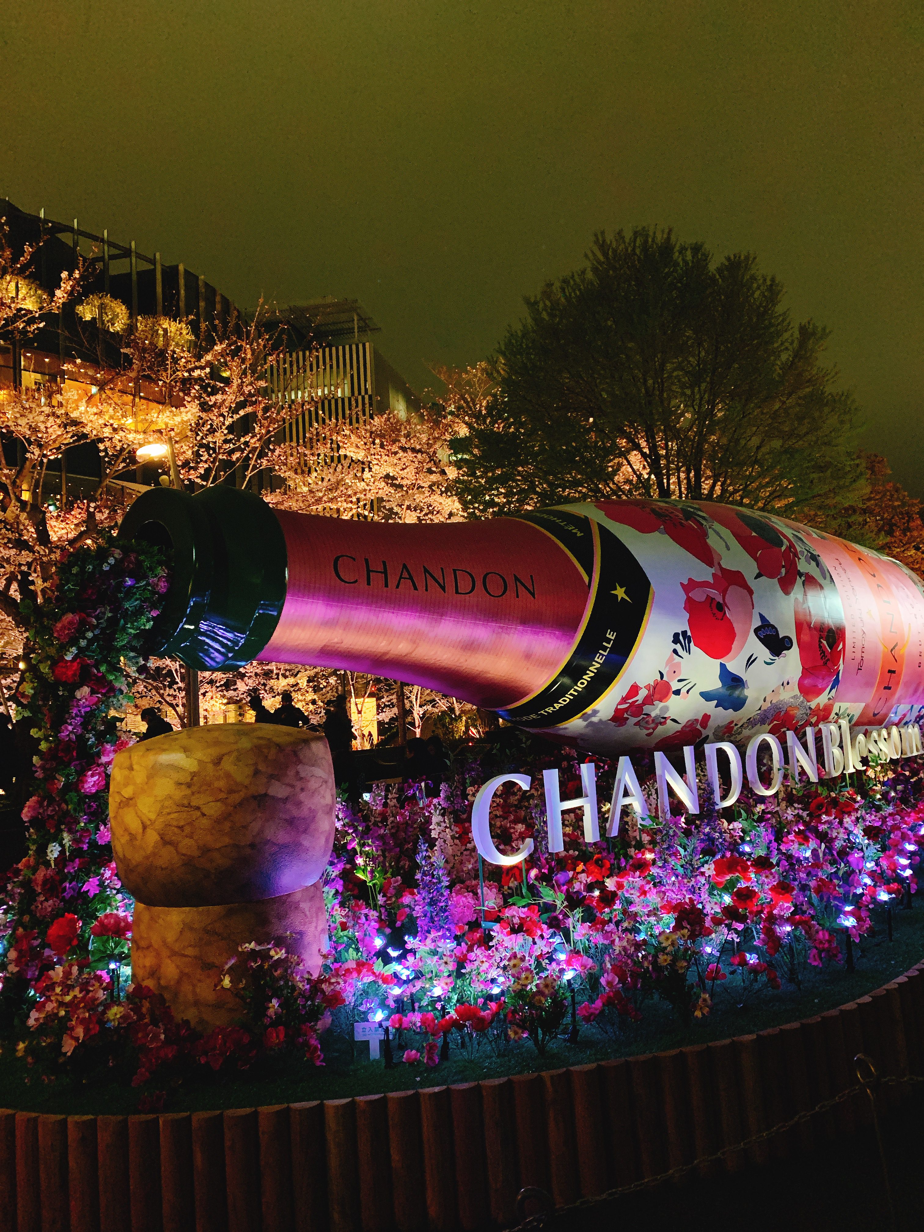 東京ミッドタウンのお花見🌸