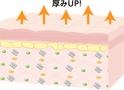 施術後、肌への効果が現れるまでは約3ヶ月