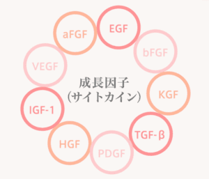 浄化濃縮幹細胞培養上清液点滴 銀座・表参道にあるBIANCA CLINIC ビアンカクリニック｜美容外科・美容皮膚科・再生医療・美容婦人科・美容内科・医療アートメイク