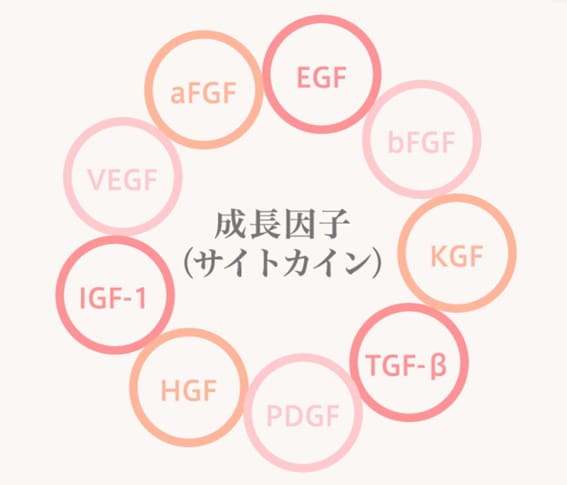 浄化濃縮幹細胞培養上清液点滴 銀座・表参道にあるBIANCA CLINIC ビアンカクリニック｜美容外科・美容皮膚科・再生医療・美容婦人科・美容内科・医療アートメイク