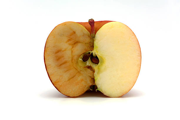 老化の原因が酸化って本当？先進の研究をBIANCA美容内科医が解説