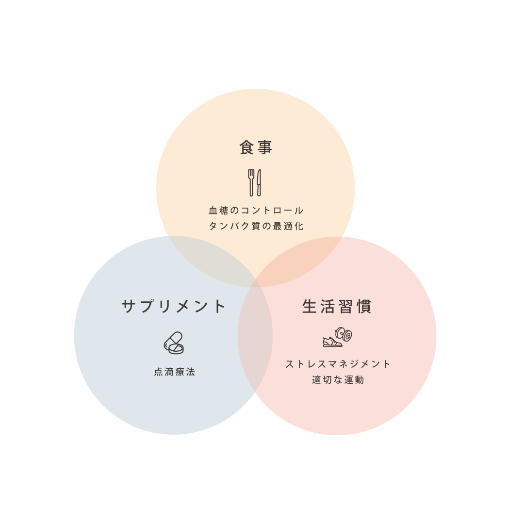 オーソモレキュラー栄養療法の3つの輪