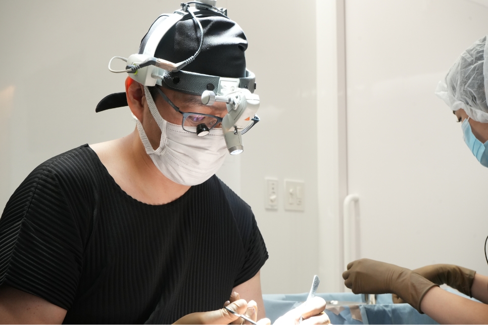 プリザベーション<br>ライノプラスティー