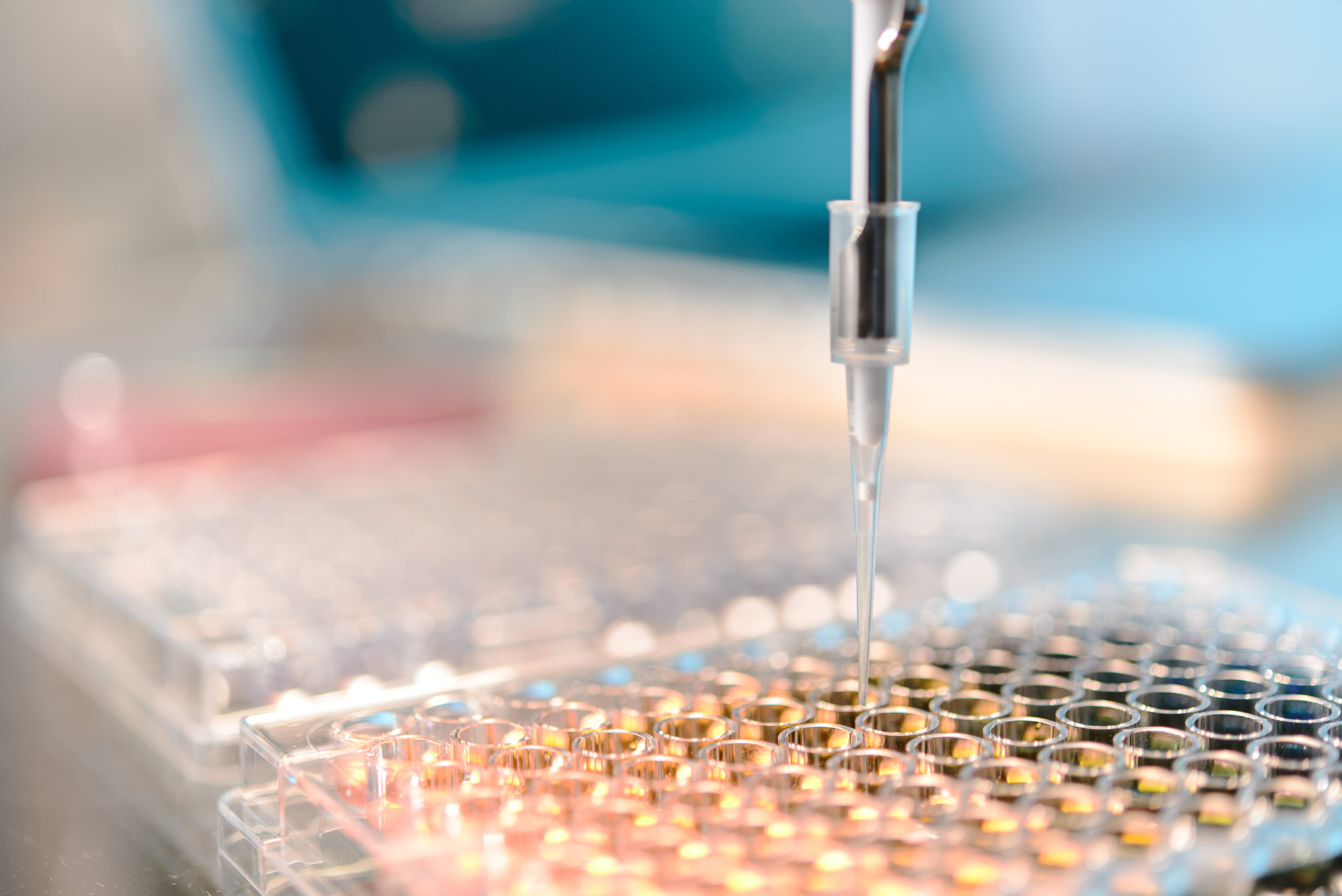 FAGAの治療法③毛髪再生 幹細胞培養上清液注射