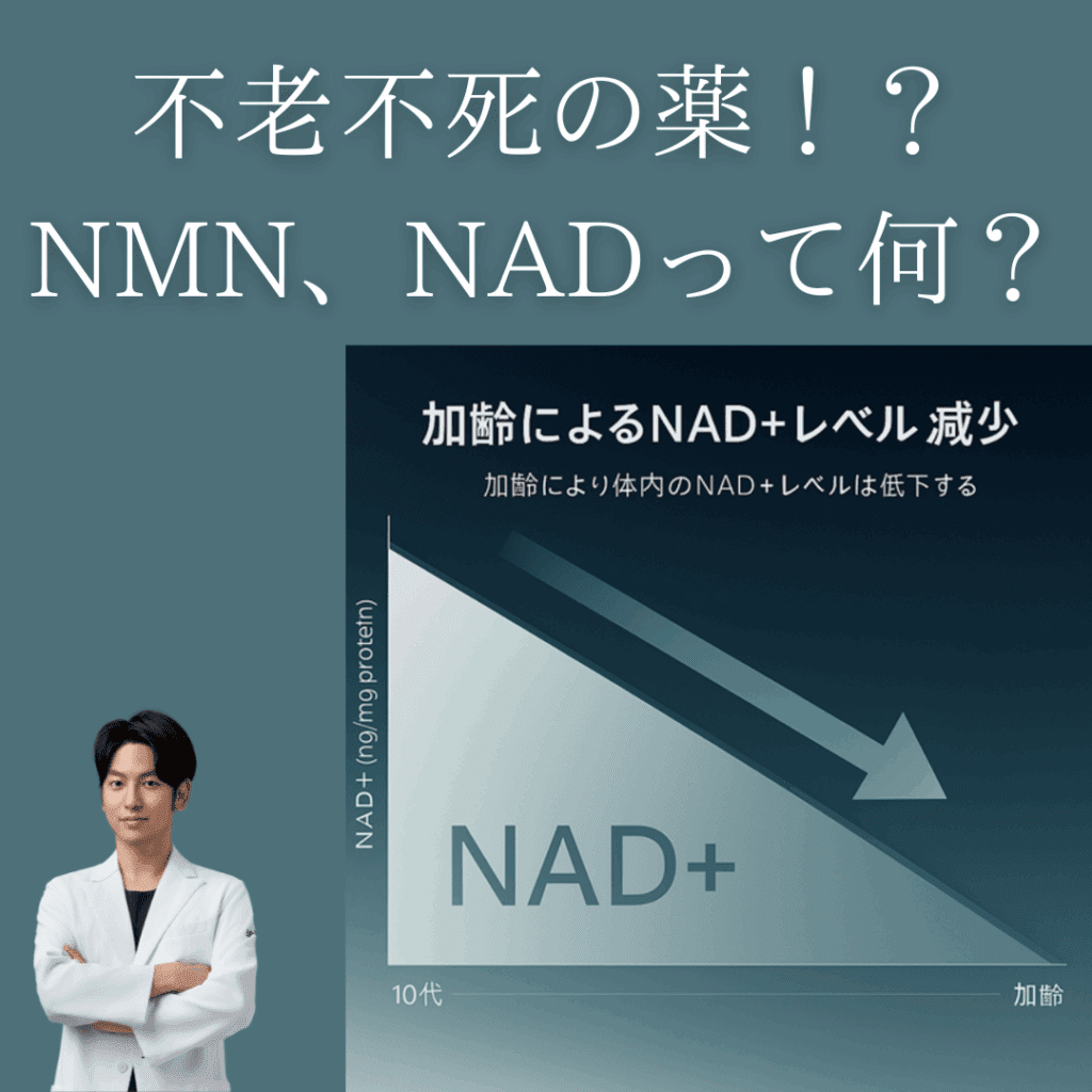 不老不死の薬！？NMN、NAD＋って何？