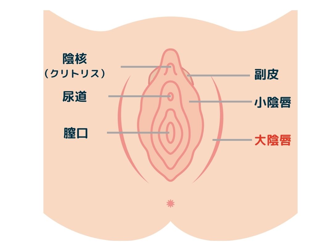 小陰唇縮小とは
