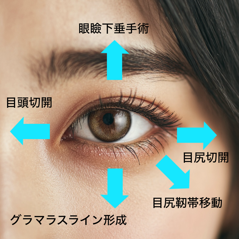 目は全方向に広げられる？⸻目元の拡大術を徹底解説