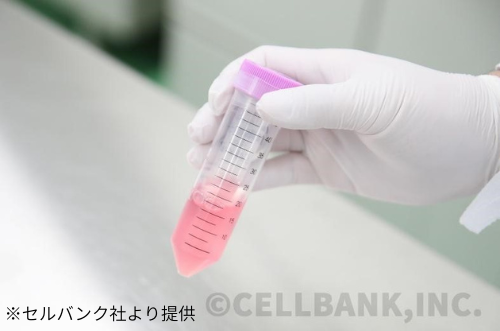 注目の再生医療で本来の健やかさを取り戻す