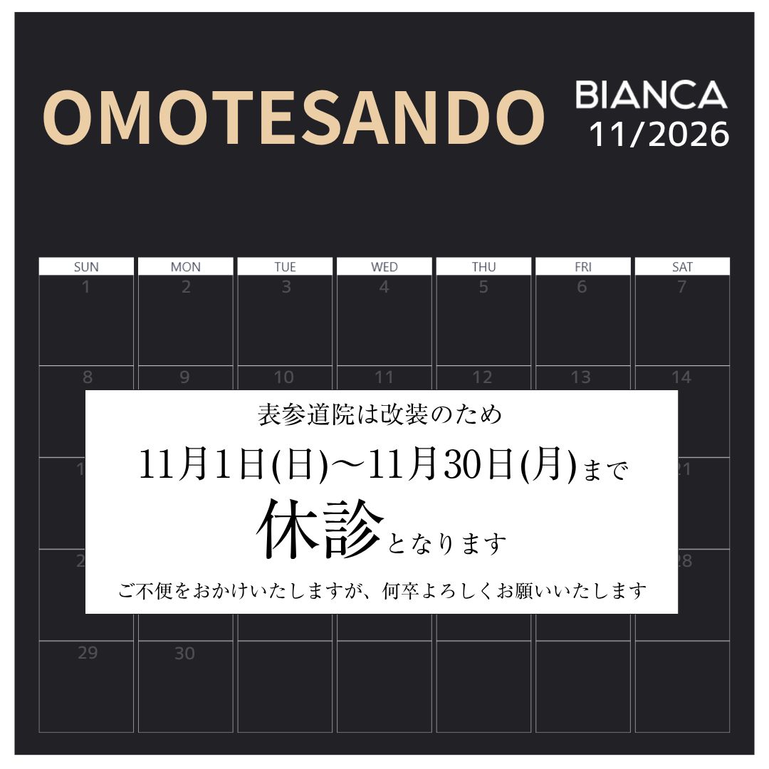 スケジュール