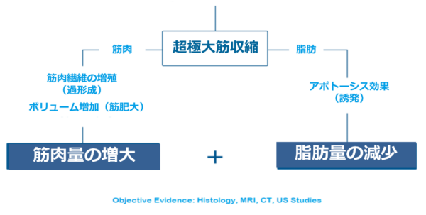 エムスカルプト（EMSCULPT） 銀座・表参道にあるBIANCA CLINIC ビアンカクリニック｜美容外科・美容皮膚科・再生医療・美容婦人科・美容内科・医療アートメイク