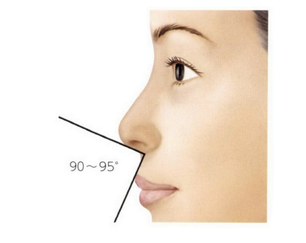 鼻柱下降術とは？「鼻柱下降術」と「鼻中隔延長」の違い｜銀座・表参道にあるBIANCA CLINIC ビアンカクリニック｜美容外科・美容皮膚科・再生医療・美容婦人科・美容内科