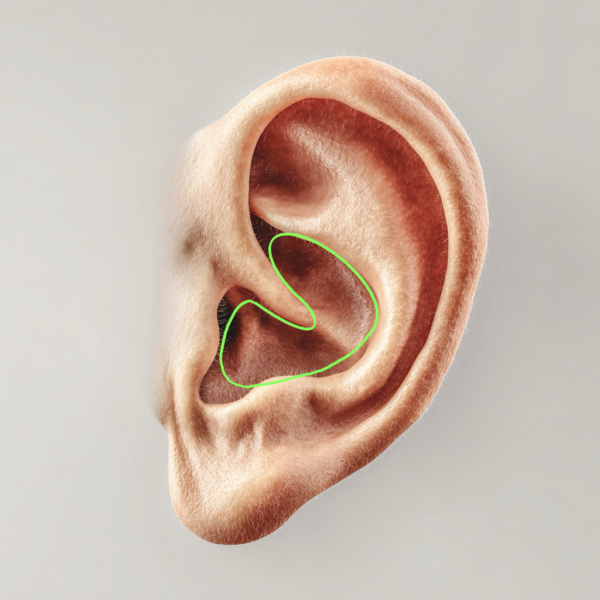 鼻中隔延長にどの軟骨を使う？｜鼻の骨組みを支える材料の選び方｜銀座・表参道にあるBIANCA CLINIC ビアンカクリニック｜美容外科・美容皮膚科・再生医療・美容婦人科・美容内科