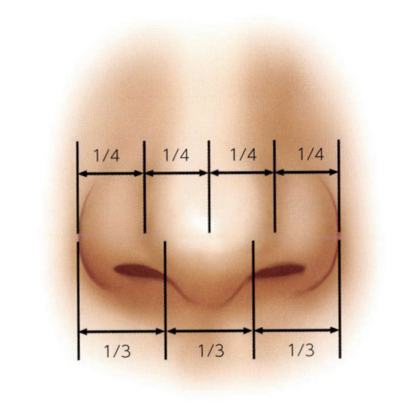 美しい鼻とは?|黄金比と理想のバランス|銀座・表参道にあるBIANCA CLINIC ビアンカクリニック|美容外科・美容皮膚科・再生医療・美容婦人科・美容内科