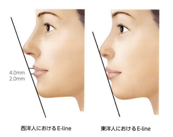 美しい鼻とは?|黄金比と理想のバランス|銀座・表参道にあるBIANCA CLINIC ビアンカクリニック|美容外科・美容皮膚科・再生医療・美容婦人科・美容内科