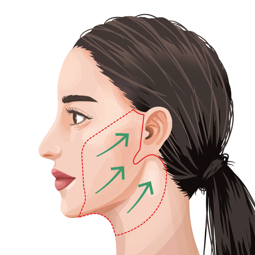 トータルフェイスリフト ビアンカ銀座｜日本を代表する美容健康再生医療のクリニック