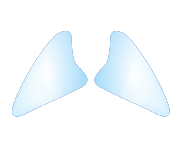 鼻翼基部プロテーゼ（貴族手術） ビアンカ銀座｜日本を代表する美容健康再生医療のクリニック