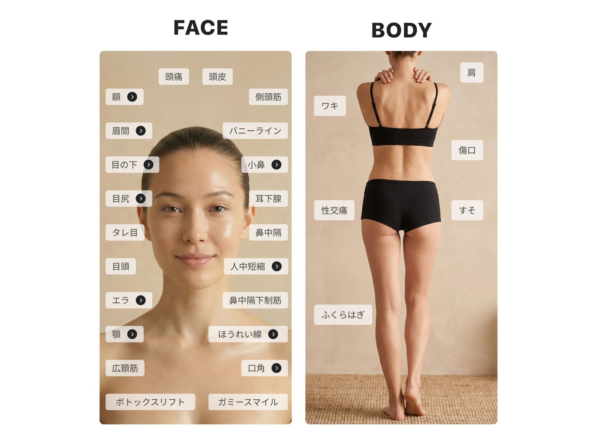 ボトックス施術部位マップ(PC用)|銀座・表参道にあるBIANCA CLINIC ビアンカクリニック|美容外科・美容皮膚科・再生医療・美容婦人科・美容内科