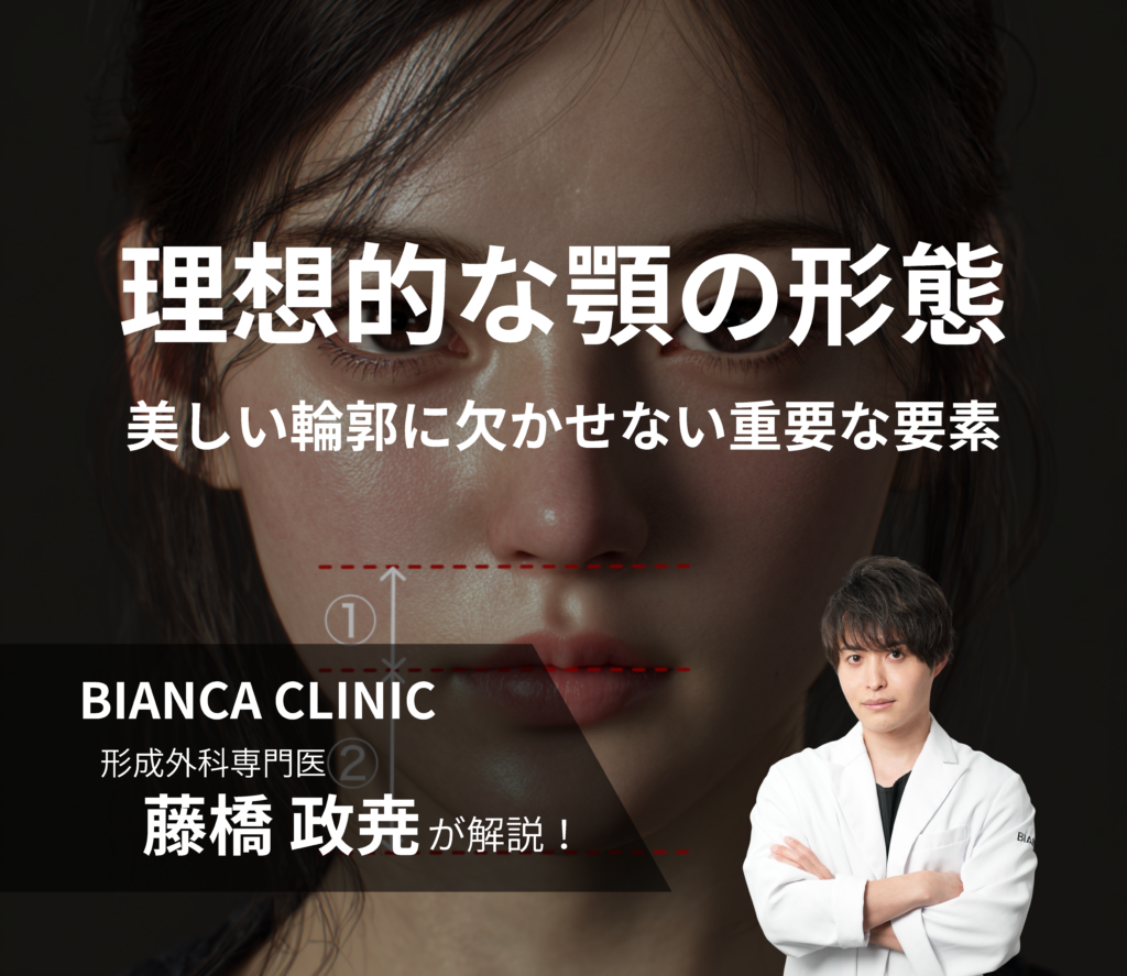 理想的な顎の形態｜美しい輪郭に欠かせない重要な要素