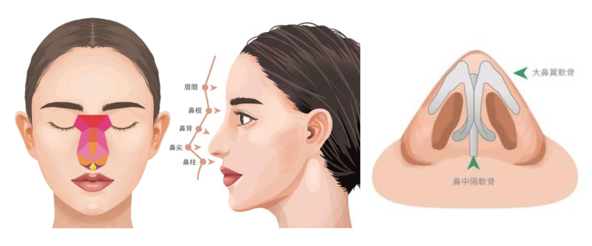 鼻の構造を崩さない「プリザベーション ライノプラスティー」