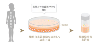 厳しい品質管理のもとに作られている純国産の浄化濃縮幹細胞培養上清液を使用