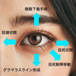 グラマラスライン形成 銀座・表参道にあるBIANCA CLINIC ビアンカクリニック|美容外科・美容皮膚科・再生医療・美容婦人科・美容内科