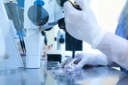 実験室における再生医療研究の様子(シャーレを用いた培養・検体操作)