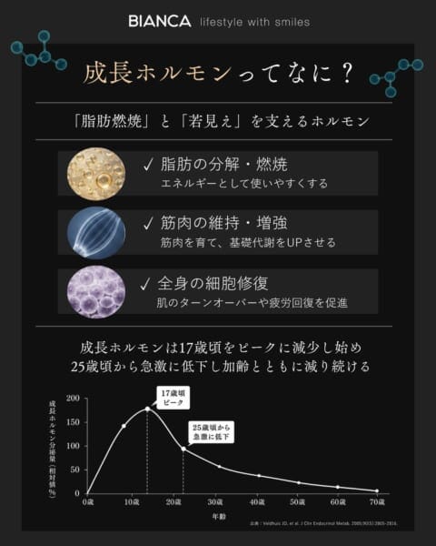 成長ホルモンの働きと加齢による分泌量の変化を示した図