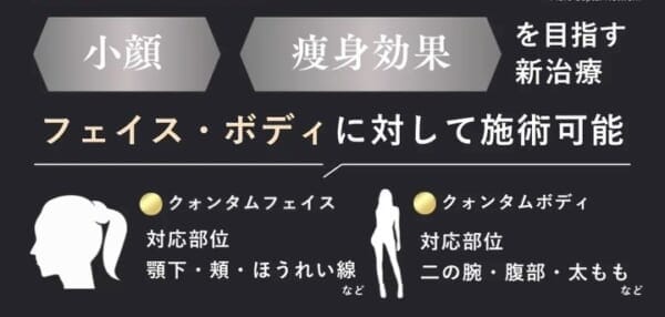 クォンタムの施術可能部位を説明する画像