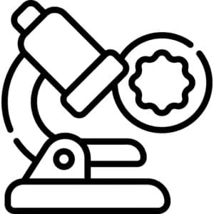 全ゲノム検査
