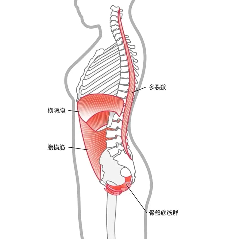 VTONE（ブイトーン）とは？🤔 今から始める骨盤底筋フェムケア★