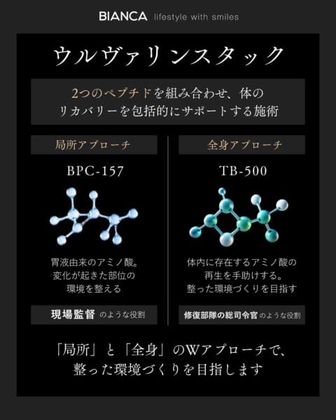 ウルヴァリンスタックに使用されるBPC-157とTB-500の役割を比較した図