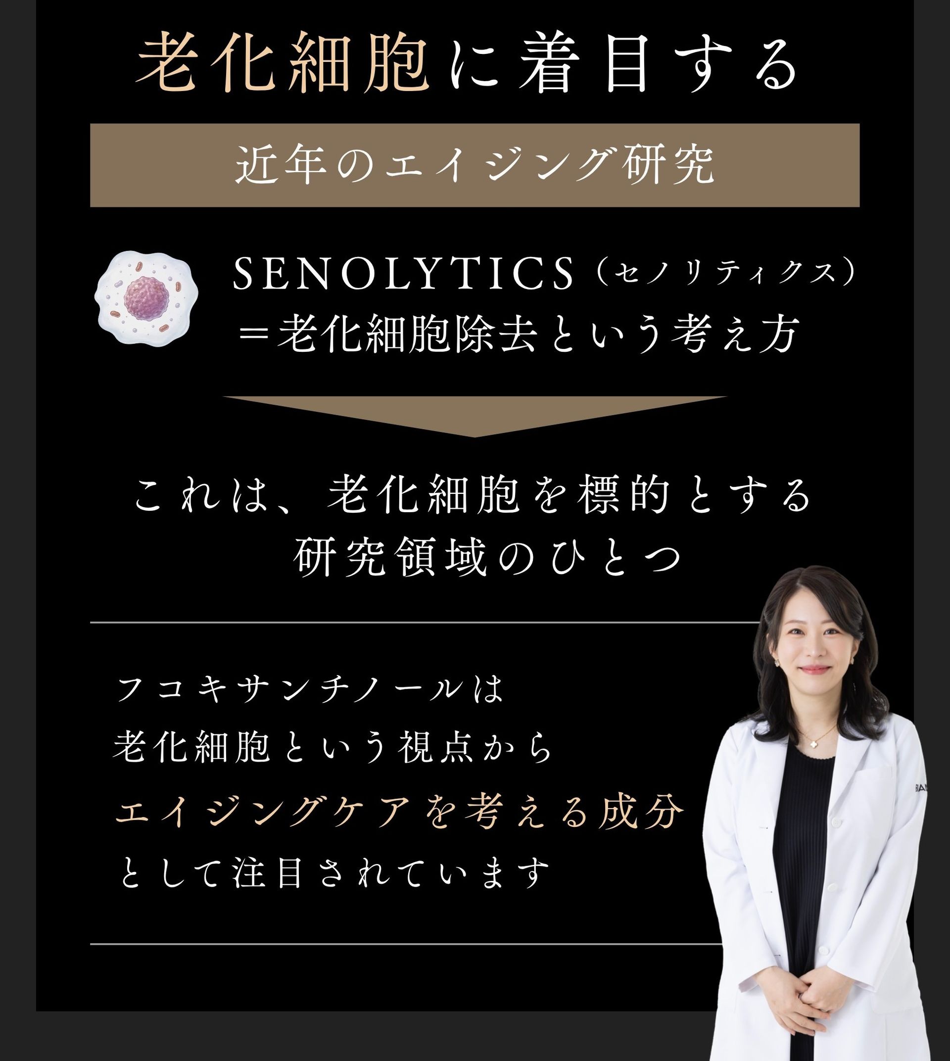 セノリティクス研究を説明する画像