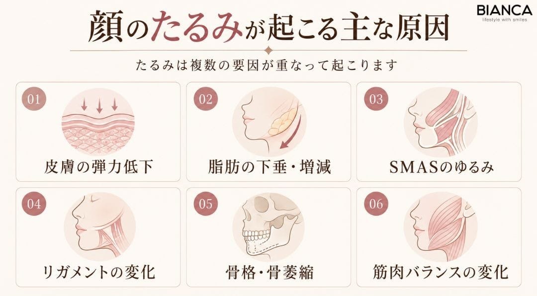 顔のたるみが起こる主な原因を図式で説明する画像